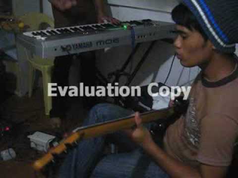 islandgirl jahtRibe (seeds of revolution)