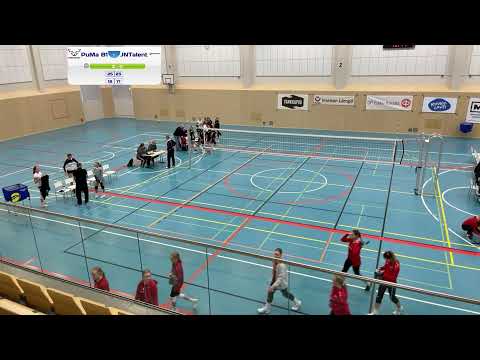 33095   PuMa B1 - JNTalent