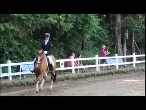 Domkaiser Reitpferde, Platz 4 mit 7,9, Reiter:N.Lotz