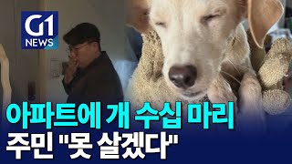 [G1뉴스]아파트에 개 수십마리..주민들 