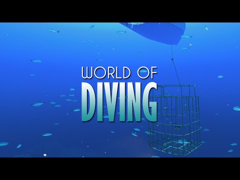World of Diving Early Access Update June 2016