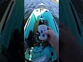 Motorize Your Hoodoo Kayak In Seconds Bixpy Pedal Drive Adapter