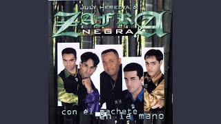 Cambia De Vida Lyrics English Translation