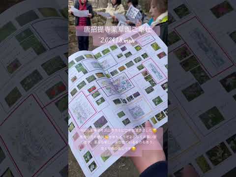 自然薬局：薬草園に絶対に入れておきたい、自分を癒す20の植物  庭園