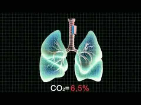 5 тайн дыхания. Простые и удивительные факты о дыхании.