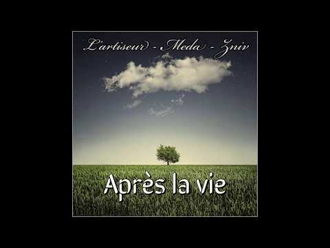 L'artiseur - Meda - Zniv : Après la vie