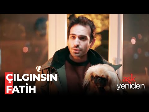 Fatih, Cango'yu Kaçırdı - Aşk Yeniden