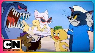 Download lagu 🏖️🐭 Tom and Jerry | Beachside Chaos! | @cartoonnetworkasia mp3