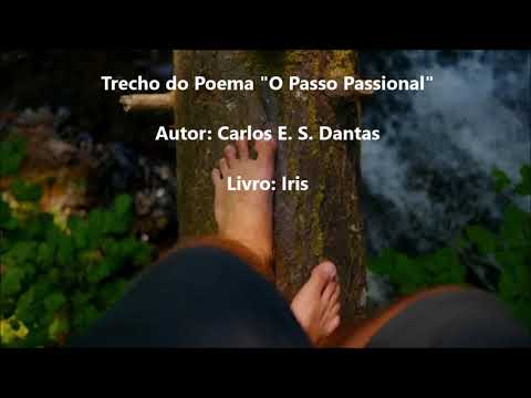 Trecho do Poema "O Passo Passional"