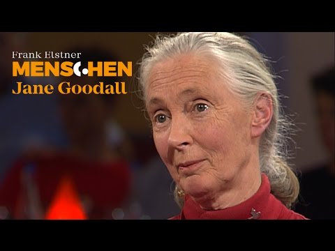 What distinguishes us from chimpanzees? - Jane Goodall | Frank Elstner Humans