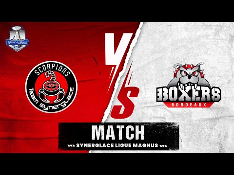 Boxers 3-2 Scorpions | Courte défaite