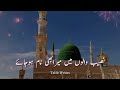 Naseeb Walu Main Mera Bhi Naam Ho Jaye Tahir Qadri Naat Whatsapp Status Naat Status Talib Writes