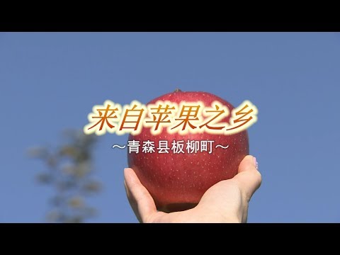 板柳町ＰＲ視頻（苹果）中国語（簡）