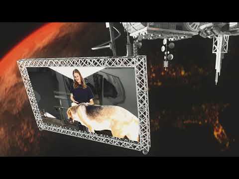 Black Noi$e - Dragon Dance (feat. Cousin Mouth)