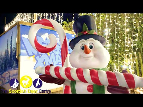 Santa's Grotto Experience 2021 - The Scottish Deer Centre
