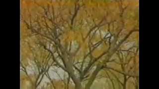 Music video thumbnail preview for Un Ka Khayal - Vital Signs (Junaid Jamshed) by Vital Signs