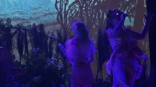 Björk - Features Creatures - Live In Vincennes 2018