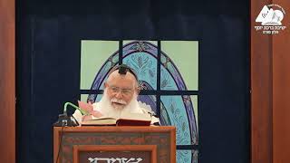 קריאת מגילה | הרב אליקים לבנון | הלכות פורים תשפ"ה | 8 (ישיבת ברכת יוסף - אלון מורה) - התמונה מוצגת ישירות מתוך אתר האינטרנט יוטיוב. זכויות היוצרים בתמונה שייכות ליוצרה. קישור קרדיט למקור התוכן נמצא בתוך דף הסרטון קריאת מגילה | הרב אליקים לבנון | הלכות פורים תשפ"ה | 8 (ישיבת ברכת יוסף - אלון מורה) - התמונה מוצגת ישירות מתוך אתר האינטרנט יוטיוב. זכויות היוצרים בתמונה שייכות ליוצרה. קישור קרדיט למקור התוכן נמצא בתוך דף הסרטון