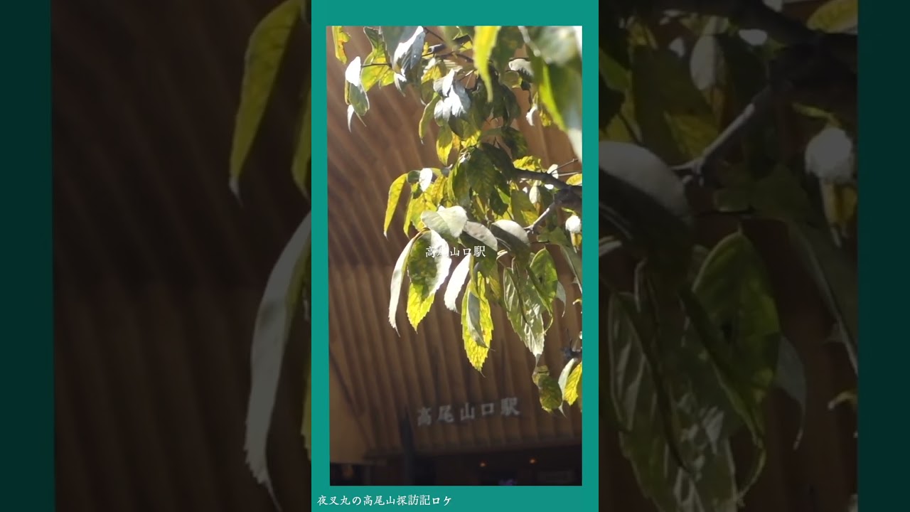 新宿から50分。都会の喧騒を脱ぎ捨てる、高尾山への入り口