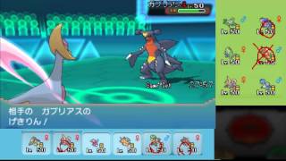 キノガッサ ポケットモンスター アシレーヌ キャモメ ナマコブシ キノガッサ ポケットモンスター アシレーヌ キャモメ ナマコブシ