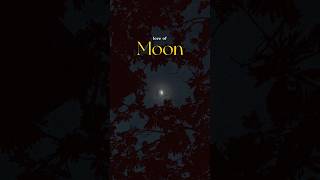 Selenophile  Moon lover #edit #moon #status #short