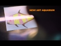 SEA LIFE Melbourne Aquarium - Official Television ...