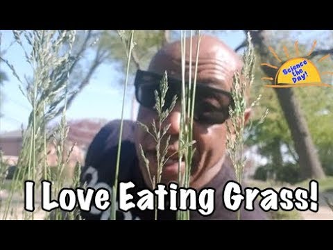 I love eating grass!