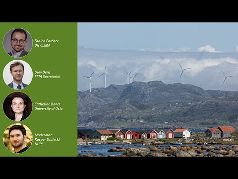 Webinar: Europe’s green transition – Opportunities and barriers for EU-Norway cooperation