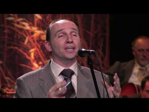 Branimir Stosic - Petlovi pojev