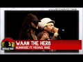 Alborosie - Waan The Herb ft. Michael Rose 