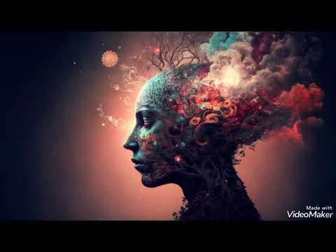 Šta je šizofrenija?- Hfz.Sulejman Bugari