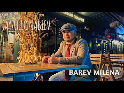 Fayzullo Nabiev - Barev Milena (Mood Video 2024)