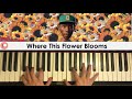 Tyler The Creator Where This Flower Blooms Piano Cover Patreon Dedication 378