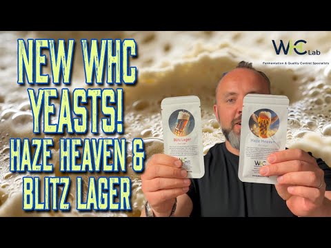 New Yeasts from WHC! Haze Heaven and Blitz Lager Breakdown, Review & more!