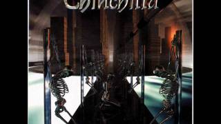 Chinchilla: Headless Fools