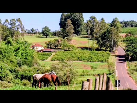 Região da porteira da pedra, Claraval mg 