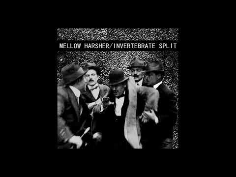 Mellow Harsher - INVERTEBRATE SPLIT