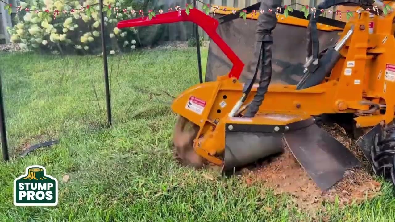 Best of 2025 Stump Grinding around Kansas City