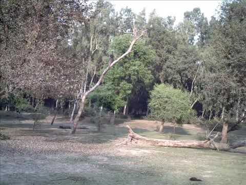 Saadi Tere Naal Si Tere PInd Sanjh - Mi@@N