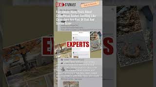 Fact Check: Many Posts About Copperhead Snakes Smelling Like Cucumbers Part Of Bait &amp; Switch Scam