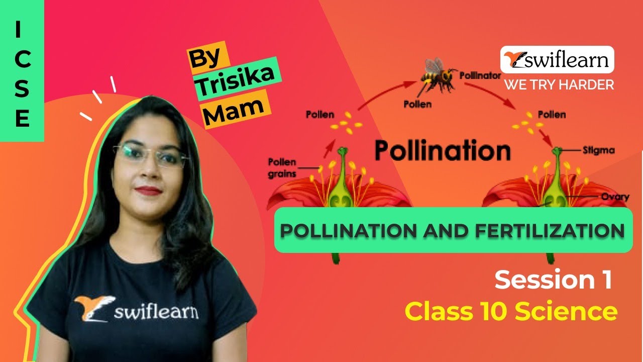 Pollination And Fertilization | ICSE Class 9 | Biology Online Classes | Session 2 - Swiflearn