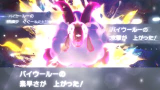 【ポケモン剣盾】攻めの新型バイウールー！？疑似りゅうのまい型降臨【ソード・シールド対戦実況】