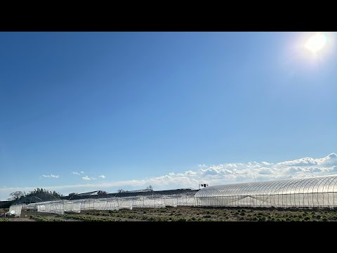 医療ビジネス薬科学科 埼玉県ハーブ農場ポタジェガーデンからLIVE