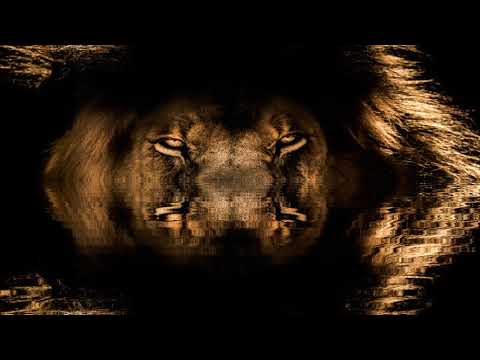 Elohim | Joss Jaffe feat Mykal Rose & Shimshai