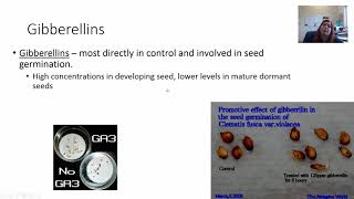 Plant Hormones and Seed Germination