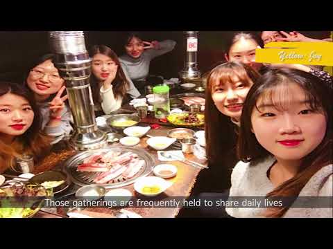 ALSA Korea 2017-2018