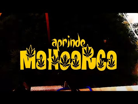 Zeze feat. Subsemnatu - Aprinde mahoarca