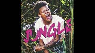 Nasty c - Jungle (Lyrics)