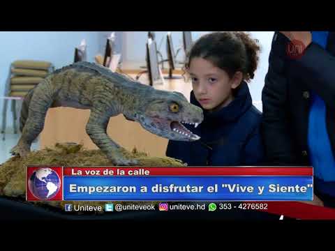 La calle opina por el Vive y Siente