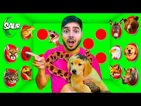 I LOCKED MY BABY DOG WITH 100 ANIMALS!!